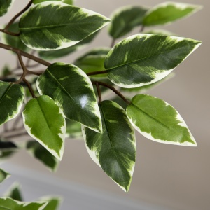Ficus artificial in ghiveci cu 702 frunze multicolore, Plante artificiale pentru interior si exterior, pentru decorarea casei, biroului, camerei de zi, 130 cm - Img 8