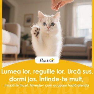 Scara pentru Pisici cu 4 Trepte Reglabile, 2 Căsuțe și Stâlp pentru Zgâriat Gri - Img 9