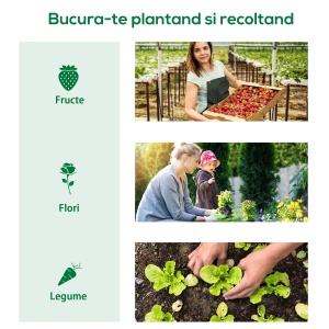 Seră de Grădină cu 2 Ferestre Laterale și Fereastră Centrală Rulantă, din Oțel, PE și PP, 240x90x90 cm, Verde - Img 6