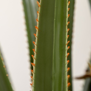 Yucca Artificială 190cm Plantă Artificială cu 39 Frunze Decorațiune pentru Casă Living Birou Grădină Ø17x190 cm Verde - Img 8