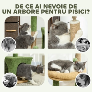 Ansamblu de Joacă pentru Pisici cu Căsuță, 2 Jucării cu Bilă și Pat Verde și Maro - Img 7