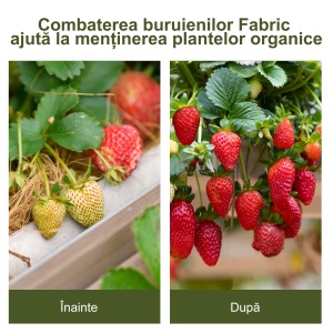 Folie pentru Protectia Solului Drenanta si Respirabila - Img 7