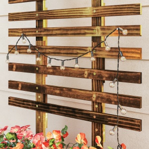 Jardiniera cu Spalier pentru Plante Agatatoare si Roti - Img 9