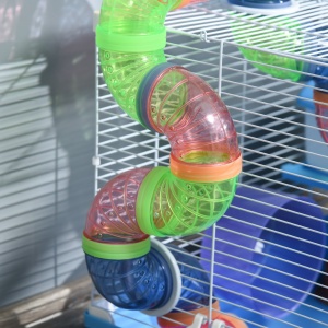 Cușcă pentru Hamster cu 2 Niveluri, Rezervor de Apă, Tavă Detașabilă, Tunel și Roată, 46x30x37cm, Albastru - Img 9