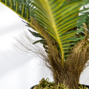 Plantă Artificială de Palmă cu 18 Frunze și Vas Inclus pentru Interior, Înălțime 85 cm, Verde - Img 9
