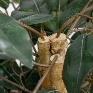 Plantă Ficus Falsă, Plantă Înaltă de 150cm, Plantă Artificială Decorativă pentru Interior și Exterior, Ø17x14.5 cm, Verde - Img 9