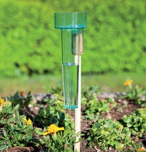 Pluviometru 23 cm PROFI WINDHAGER