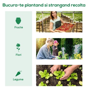 Sera de Gradina cu Rafturi din Metal si Copertina din PE, Sera pentre Legume cu Usa Rulou 80x49x160cm, Verde - Img 7