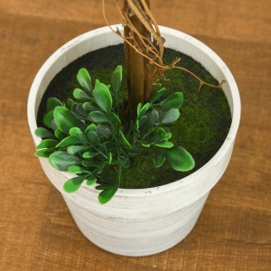 Set 2 Plante Artificiale – Frunze de Santal, Design Bila Decorativa - Img 9