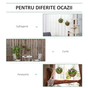 Set 2 Plante Lisianthus – Ghiveci Rachita, Decorative pentru Agatat - Img 5