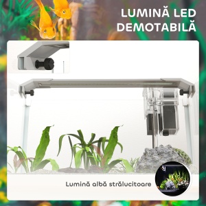 Acvariu pentru Pești Roșii din Sticlă cu Lumini LED cu Filtru și Pompă de Apă, 38x26x27 cm, Alb - Img 5