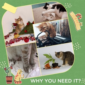 Copac in Forma de Cactus pentru Pisici de Interior Turn pentru Pisici cu Stalpi de Zgariat Pat pentru Pisici Minge de Jucarie Verde accesorii animale feline sala de gimnastica pisoi lounge mobila sufragerie - Img 7