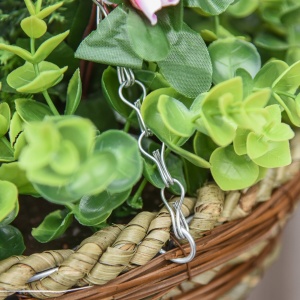 Set 2 Plante Lisianthus – Ghiveci Rachita, Decorative pentru Agatat - Img 8