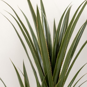 Yucca Artificială 190cm Plantă Artificială cu 39 Frunze Decorațiune pentru Casă Living Birou Grădină Ø17x190 cm Verde - Img 9