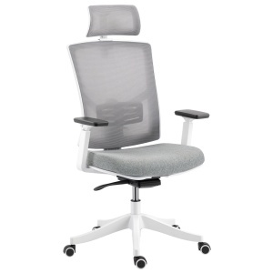 Scaun de Birou Ergonomic și Respirabil cu Suport Lombar Dinamic 4D, 64.5x62.5x112-122 cm, Multicolor - Img 1
