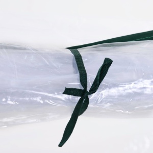 Sera de gradina cu cadru din otel si invelis din PVC, 250x100x80cm, Verde si transparent - Img 8