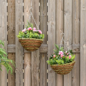 Set 2 Plante Lisianthus – Ghiveci Rachita, Decorative pentru Agatat - Img 2