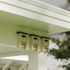 Set de 3 Căsuțe pentru Lilieci Bat Box din Lemn de Brad, 18x6x22,5 cm, Culoare Naturală - Img 7