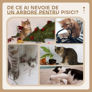 Șevalet de Zgâriat pentru Pisici cu Căsuță, 2 Platforme și Minge Gri - Img 7