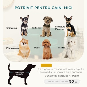 Canapea pentru Caini si Pisici cu Spatar si Perna Detasabila Verde - Img 4