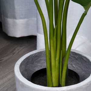 Planta Artificiala Strelitzia – 120 cm pentru Interior/Exterior - Img 9