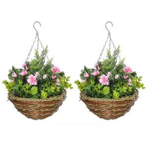 Set 2 Plante Lisianthus – Ghiveci Rachita, Decorative pentru Agatat - Img 1