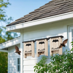 Set de 3 Căsuțe pentru Lilieci Bat Box din Lemn de Brad, 18x6x22,5 cm, Culoare Naturală - Img 2