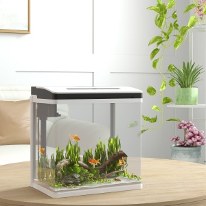 Acvariu 13L din Sticla – cu Filtru, LED & Pompa pentru Pesti - Img 2