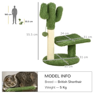 Copac in Forma de Cactus pentru Pisici de Interior Turn pentru Pisici cu Stalpi de Zgariat Pat pentru Pisici Minge de Jucarie Verde accesorii animale feline sala de gimnastica pisoi lounge mobila sufragerie - Img 3