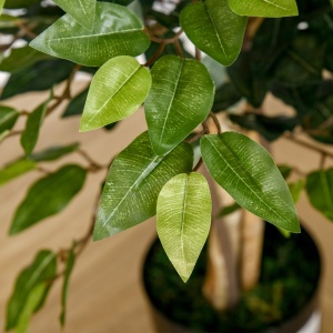 Plantă Ficus Falsă, Plantă Înaltă de 150cm, Plantă Artificială Decorativă pentru Interior și Exterior, Ø17x14.5 cm, Verde - Img 8