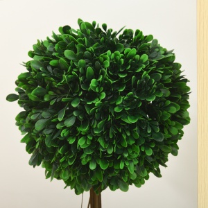 Set 2 Plante Artificiale – Frunze de Santal, Design Bila Decorativa - Img 7