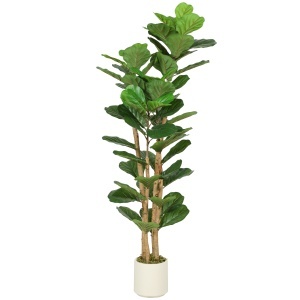 Plantă Artificială de Smochin Verde în PEVA și Lemn cu Ghiveci din PP și Bază din Ciment, 50x50x150 cm