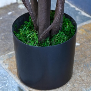 Plante Artificiale Fără Întreținere, Perfect pentru Decorarea Casei, 165 cm, Alb - Img 7