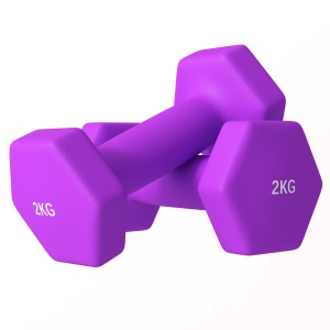 Set de 2 Greutăți Hexagonale, Set de Gantere Pereche cu Prindere Antiderapantă pentru Antrenament de Fitness la Domiciliu, 16x7.5x7.5 cm, Violet