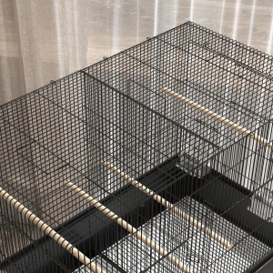 Colivie pentru Păsări de Interior cu Tăviță, Raft și Roți, Volieră din Oțel pentru Perusi, Canari, Nimfe și Papagali, Negru, 85 x 49 x 119 cm - Img 9