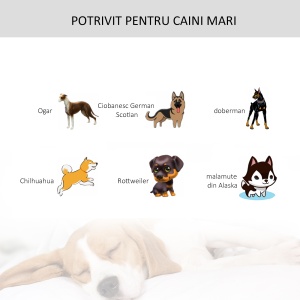 Kennel pentru Caini Pliabil Usa cu Blocare 4 Roti Fund Detasabil - Img 8
