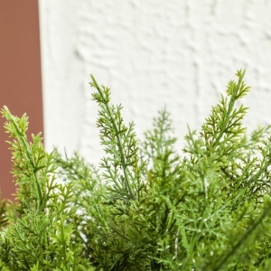Plantă Artificială Cedru Rezistentă la Raze UV cu Ghiveci, Ø14,5x55 cm, Verde - Img 9