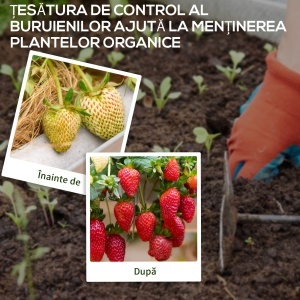 Plasă pentru Mulcire Permeabilă și Anti-UV din Polipropilena, pentru Grădină și Curte, 100x1 m, Negru - Img 6