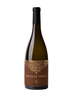IL CONTE VILLA PRANDONE BELVA DI TERRA MARCHE 750ML