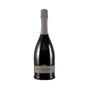 LA MONTINA VIN SPUMANT FRANCIACORTA BRUT 750ML