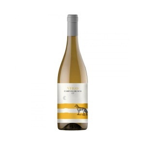 VILLA RAIANO VIN ALB CAMPANIA BIANCO VIRGO 750ML