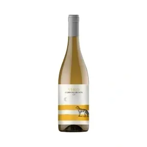 VILLA RAIANO VIN ALB CAMPANIA BIANCO VIRGO 750ML