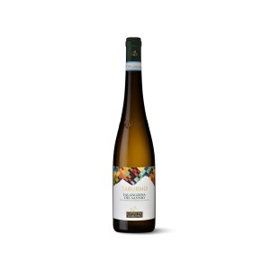 CANTINA DEL TABURNO VIN ALB FALANGHINA SANNIO DOP TABURNO 750 ML