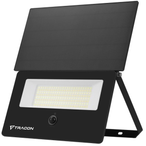 Proiector cu panou fotovoltaic și detector de mișcare, negru