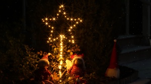 Stea iluminată cu LED pentru grădină, cu baterii.