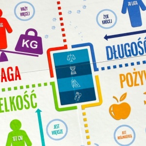 Joc educațional În vârful jocului pentru curioși 8+ MULTIGRA - Img 3