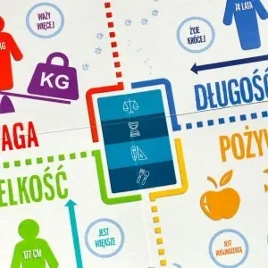 Joc educațional În vârful jocului pentru curioși 8+ MULTIGRA - Img 3