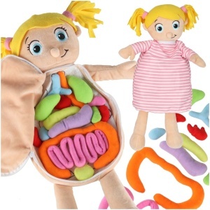 Mascot păpușă de învățare anatomie fată