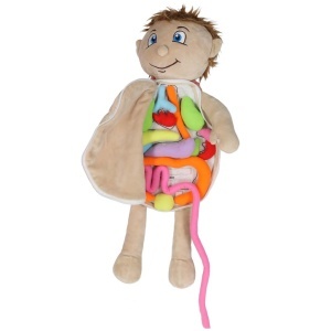 Mascot păpușă de învățare anatomie băiat - Img 3
