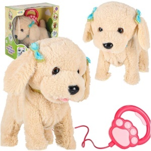 Câine interactiv în lesă latră se plimbă coada mișcă Poodle